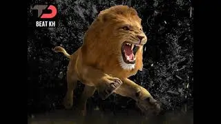 Beat instrumental lion diss track  TD BEAT KH