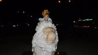Вечерняя прогулка. Идём к фонтану мимо львов.