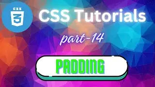 How to give padding in CSS ? | Html | CSS