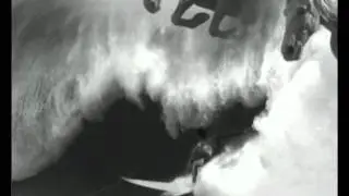 Guinness Beer (Surfer) extended commercial directed by Jonathan Glazer