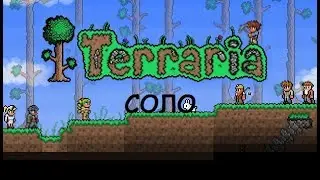 Terraria в соло