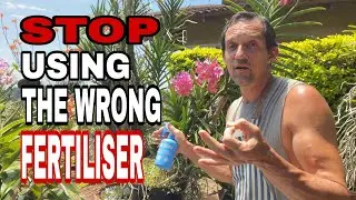 The Truth About Orchid Fertilizers – What REALLY Works?