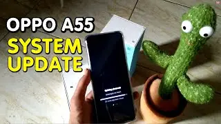 How to Update OPPO A55 Software - Latest Oppo 2022 Indonesia
