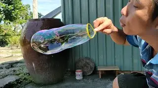 Trò chơi tuổi thơ bong bóng xà phòng dâm bụt