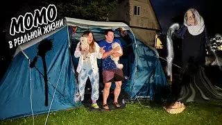 Момо в РЕАЛЬНОЙ жизни НОЧЬЮ в нашей трёхкомнатной палатке с котами и собакой