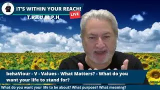 It's Within Your Reach - The T.R.I.U.M.P.H System -Values -  6