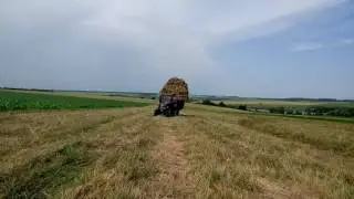 погрузка тюков, РЕКОРД, заготовка сена.