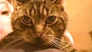 Boyz II Men - It's So Hard To Say Goodbye (My Cat Kiki)