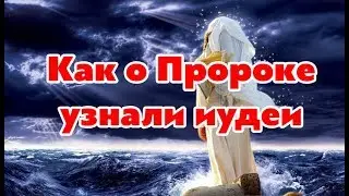 Любимец Всевышнего.  Реклама.