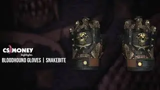 CS:GO | Bloodhound Gloves - Snakebite