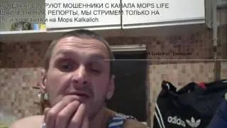 У Дяди Мопса крадут донаты