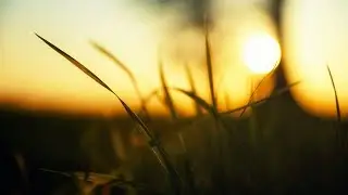 ECEPTA - Flora