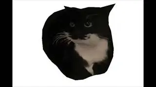 maxwell the spinning cat but with low quality kiss of death