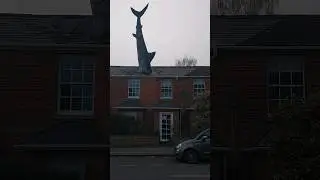 Shark Christmas?