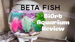 Halo Aquarium BiOrb Review | The Most Beautiful Fish Tank