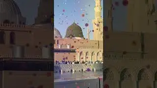 Mevlam Çekirdeğe Orman Gizlemiş - Ümit Dursun