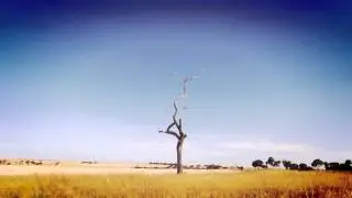 give way to the treestalk