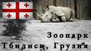 Зоопарк Тбилиси 19.06.18
