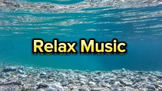 🎻 Relaxing Sleep Music • Deep Sleeping Music • Relaxing Music • Stress Relief • Meditation Music