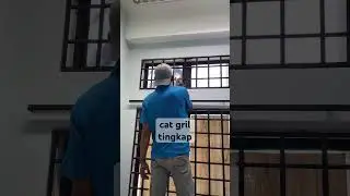 cat gril tingkap #homedecor #shortsvideo