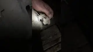 How to clear ABS sensor errors. Part 2. Problem solved! DAF XF 105