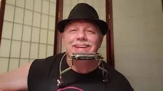 Bruised Oranges - John Prine Tribute