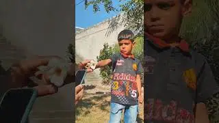 Flower trick shots.#photography #photographyideas #tipsandtricks