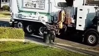 Golf Garbage Truck