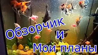Обзорчик и планы