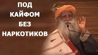 Под кайфом без наркотиков | Садхгуру