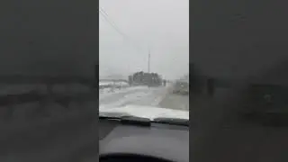 Погода в Москве,даже не верится,я на юге,где цветут цветы и деревья 🤔