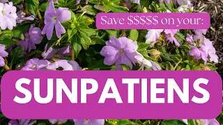 Sunpatiens: Overwintering Annuals and Replanting the Following Year.