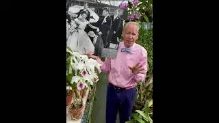 Cattleya Jacqueline Kennedy - A National Treasure