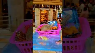 Shree Siddhivinayak Bappa | Universal Dance Studio #silverplaybutton #youtubeshorts #ganeshchaturthi