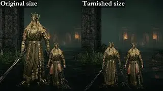 Elden Ring - Tarnished-sized DLC enemies
