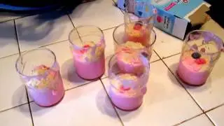 Jell-o Creations Dessert kit Princess product test quick easy fun