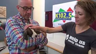 Pocono the Pup Needs a Kalamazoo Home  Wet Nose Wednesday