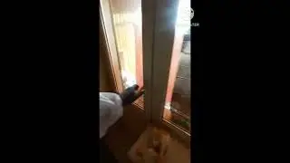Будни дезинфетора. решаем проблемы по всей стране.