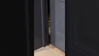 Иногда я не грущу 