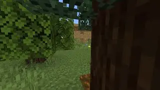 Secret Base Challenge ft.Ender Wolf