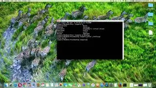 10  Run Python Program File in Terminal