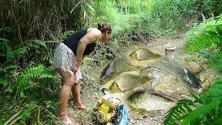 Using a machine to vacuum 3m3 of sediment from the stream pool, 10kg of fish were collected