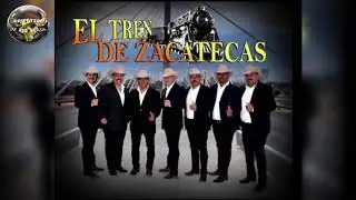 El Tren De Zacatecas 2020 Mi Destinó Fue Quererte