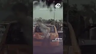 Driver has close call as lightning strikes tree beside car