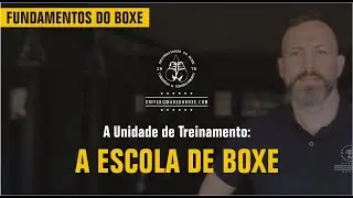 A Escola de Boxe: técnicas de deslocamentos, golpes, defesas e parada de combate. Aprender Boxe.
