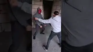 бебры все в адидасах #адидас #бебры