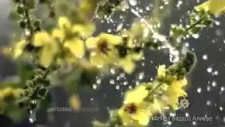Баку