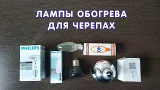 Лампы обогрева для черепах