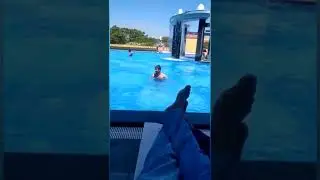 Infosys Mysore Campus | Infosys Mysore Swimming Pool #infosys #shorts