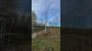 О расчистках и благоустройстве 